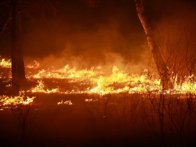 Лесной пожар на площади 220 тысяч кв. метров зафиксировали в Забайкалье