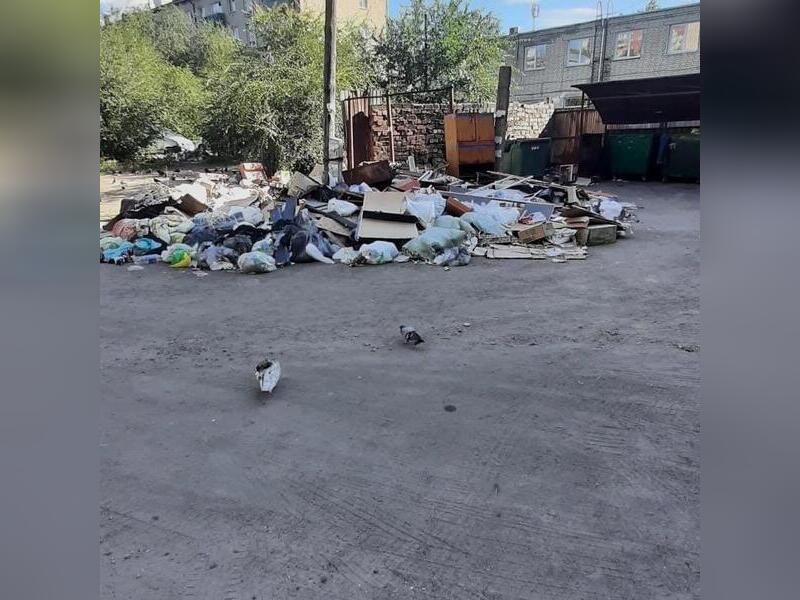 Чита завалена мусором — в центре краевой столице нашли очередную стихийную свалку
