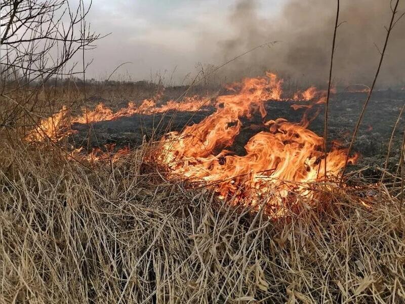 Осипов: «ситуация по пожарной опасности в Забайкалье напряженная, но не критическая»