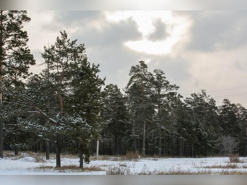13 января в Забайкалье ожидается до 40 градусов мороза и небольшой снег