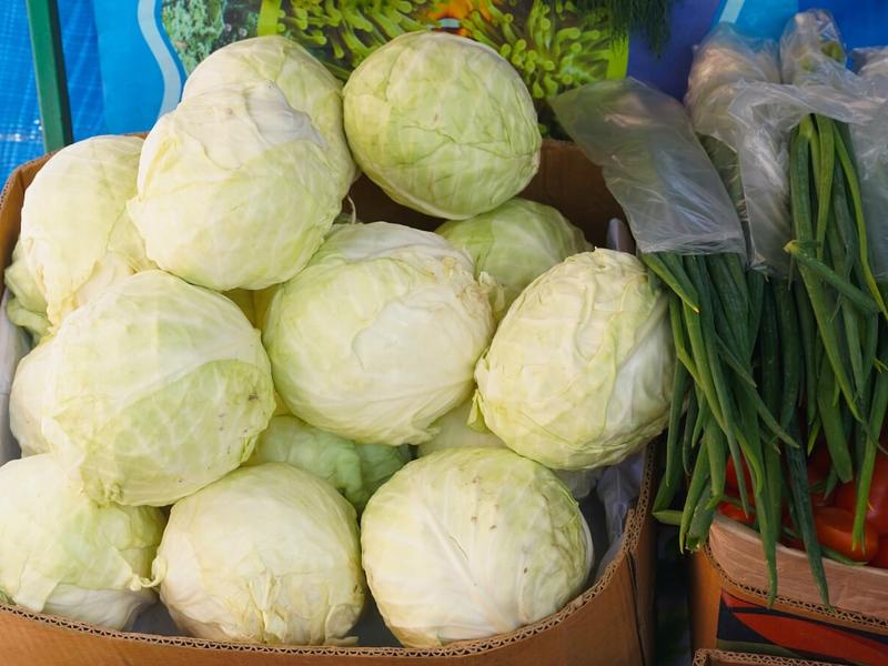 Цена на свежую капусту уменьшилась почти на 8% за неделю в Забайкалье — Забайкалкрайстат