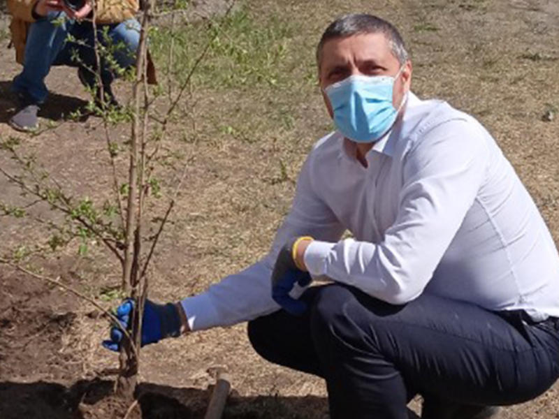 Осипов поучаствовал в акции «Сад памяти» и посадил дерево в Чите