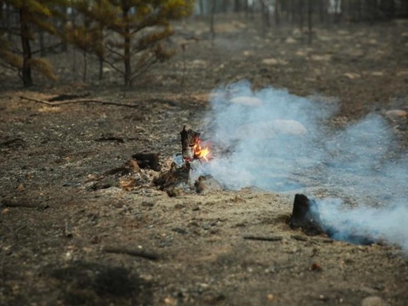 Пожарные почти семь часов ликвидировали пал травы в Оловяннинском районе