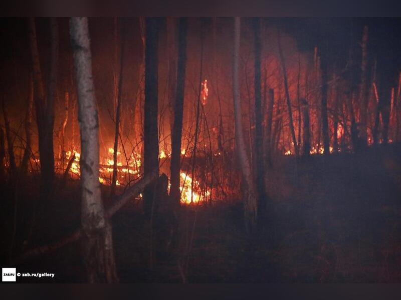 Около ста лесных пожаров действуют на территории края