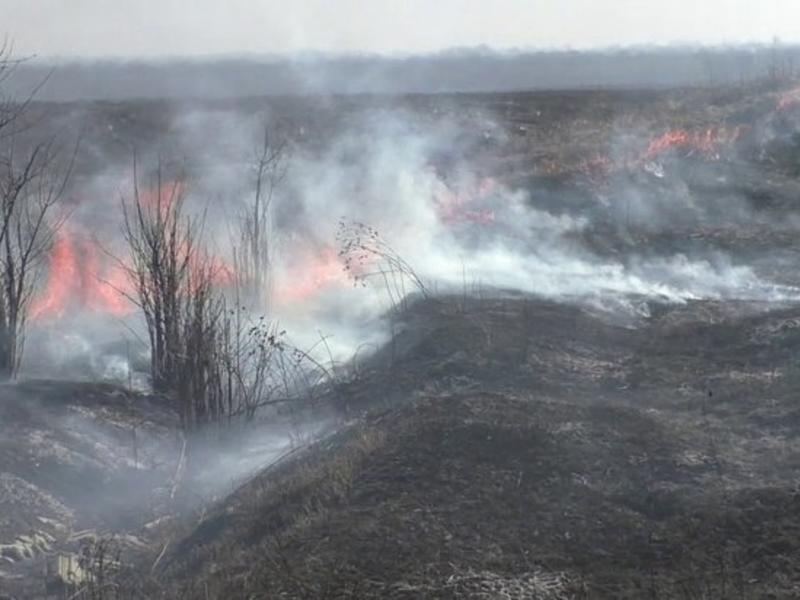 Прогноз пожарной опасности на территории Забайкалья на 10 июня