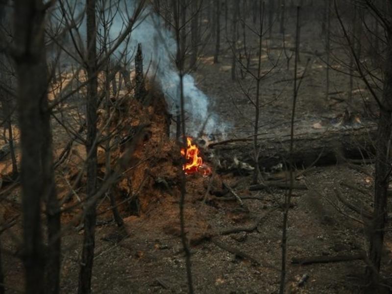 В Забайкальском крае ожидается высокая пожарная опасность