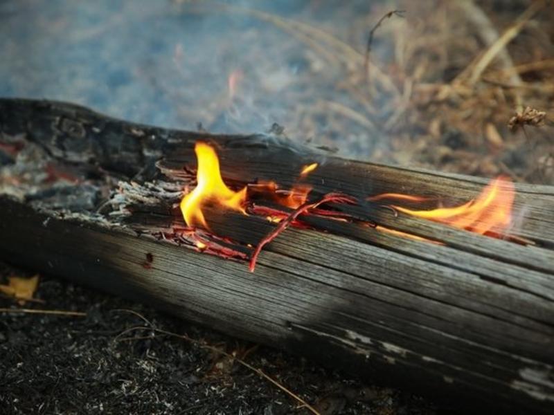 В Забайкальском крае действуют восемь пожаров
