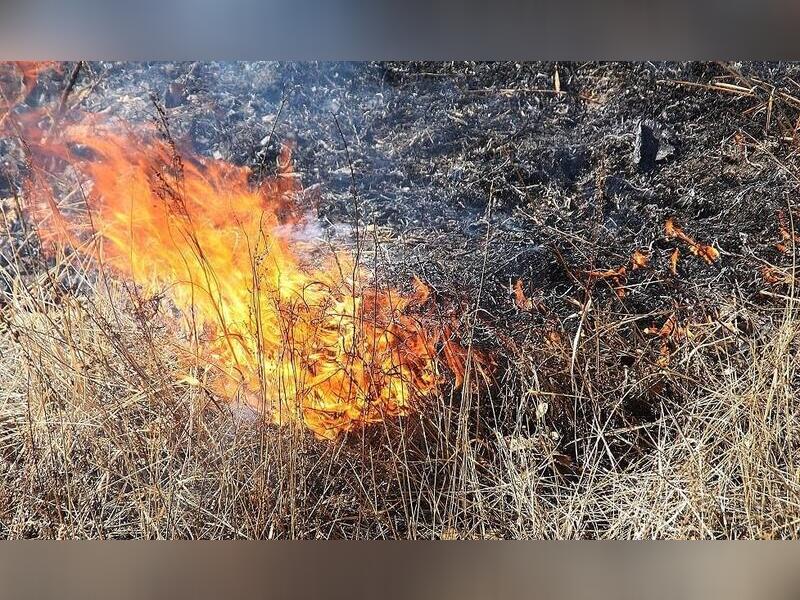 Площадь пожара в Ононском районе увеличилась до 500 гектаров