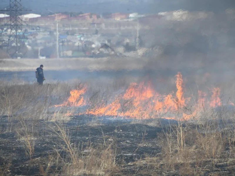Жители Добротного и Смоленки попросили главу Читинского района дать им ранцевые огнетушители
