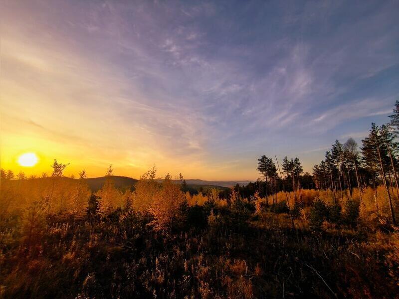 Почти 30 градусов тепла ожидается завтра в Забайкалье