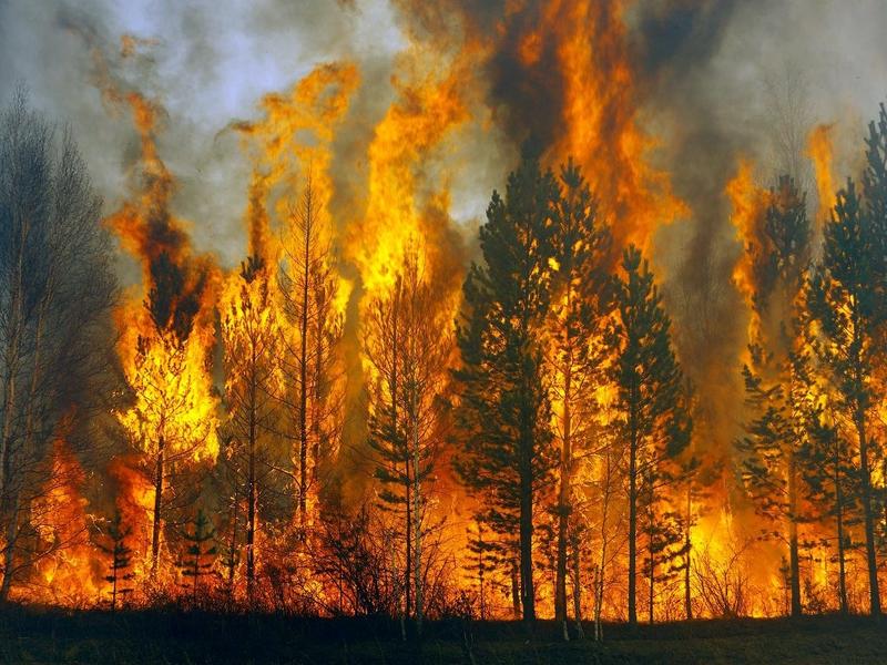 В 2 раза больше федеральных средств на тушение лесных пожаров получит Бурятия в 2018 году