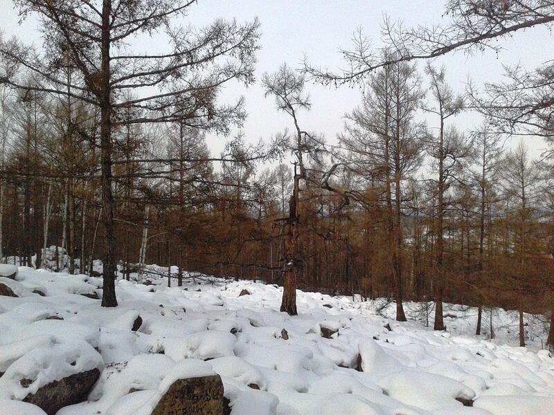 Снега не будет, уровень фенола превышен – прогноз погоды в Чите и крае на 14 января