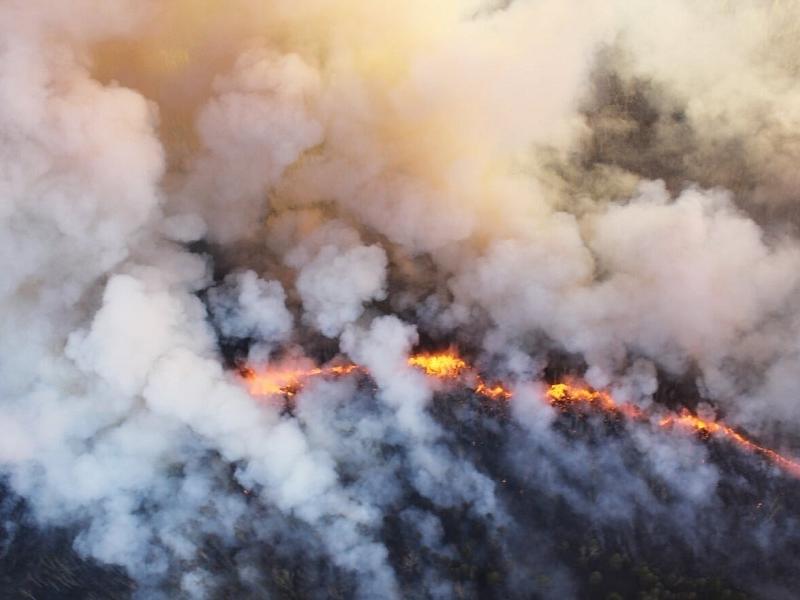 Огнеборцы ликвидируют лесные пожары в районах Забайкалья