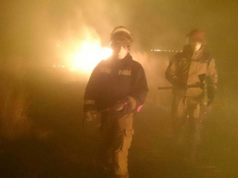 В Минприроды попросили волонтёров «не рваться» на тушение больших лесных пожаров