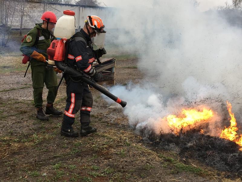 Добровольные пожарные Забайкалья ответили на критику Минприроды о самостоятельном тушении пожаров