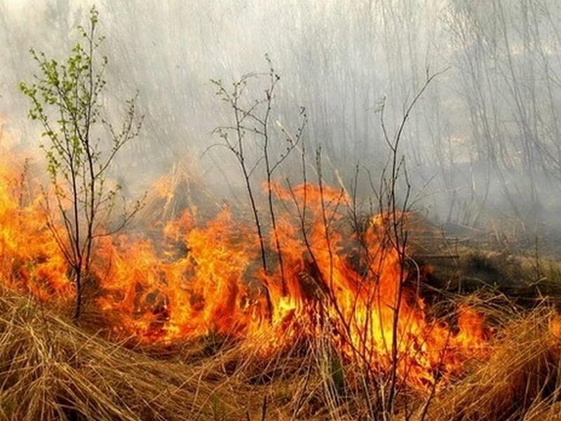 Три крупных степных пожара произошли в Чите 31 марта
