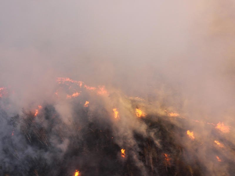 Пожары в Забайкалье могут начаться уже в апреле - Россельхоз