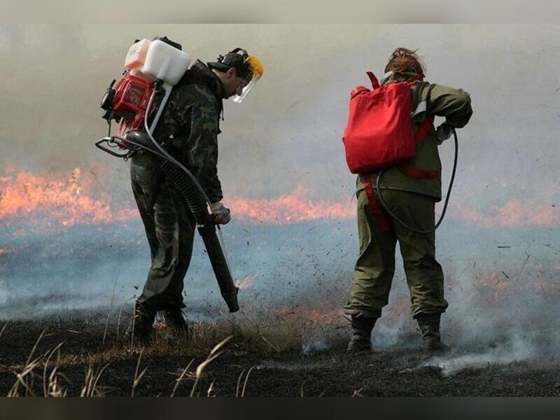 В Забайкалье локализован самый крупный в России пожар