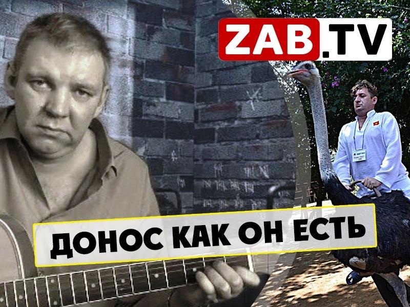 Журналист дал показания против блогера — ZAB.TV
