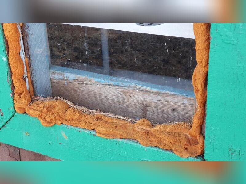 Краснокаменцы пожаловались на «холодные» окна в местной школе