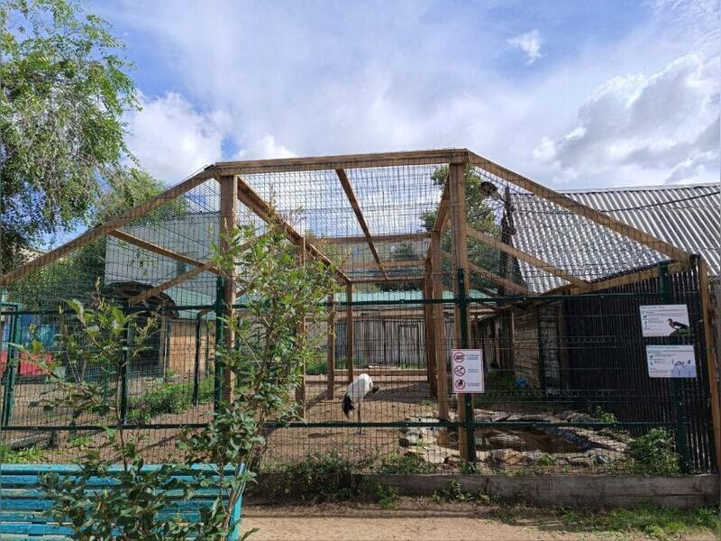Японский журавль и пара нильских гусей получили новый дом в Читинском зоопарке