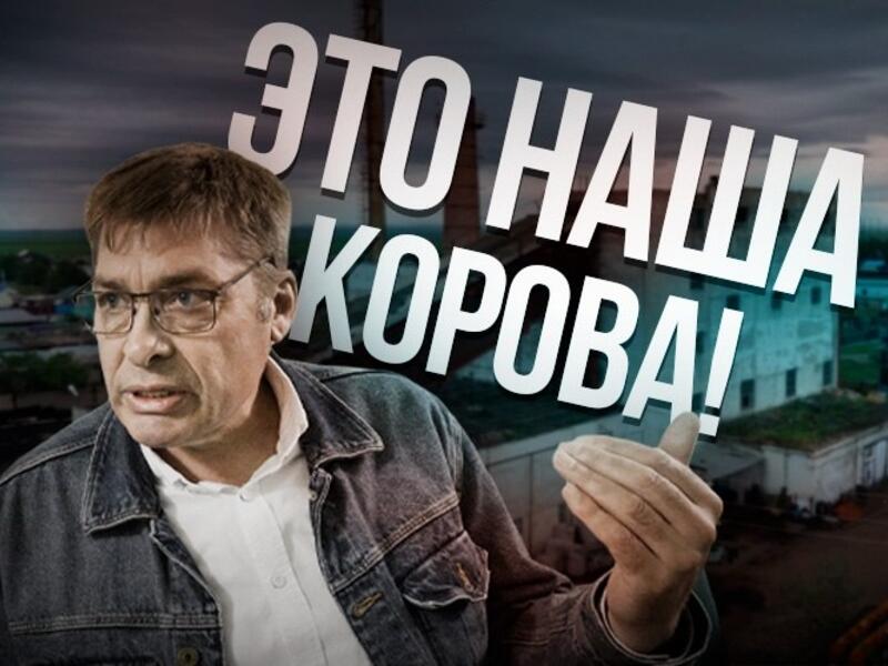 Жительница Борзи: «Вы обошли этот закон»