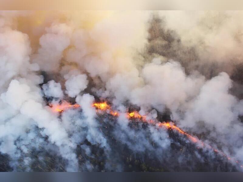 Пять лесных пожаров локализовали за сутки в Забайкалье