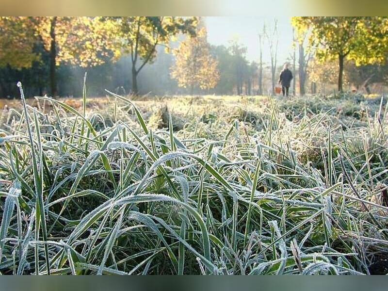 5 сентября в Забайкальском крае ожидаются заморозки