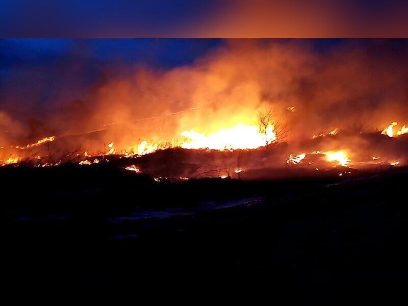 В Акшинском районе Забайкалья действует лесной пожар на площади 5 тыс. гектаров