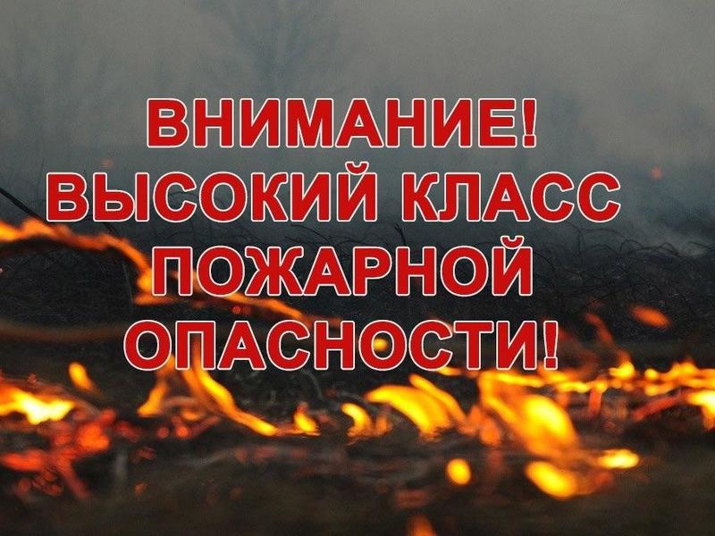 Высокий класс лесопожарной опасности прогнозируют в Забайкалье