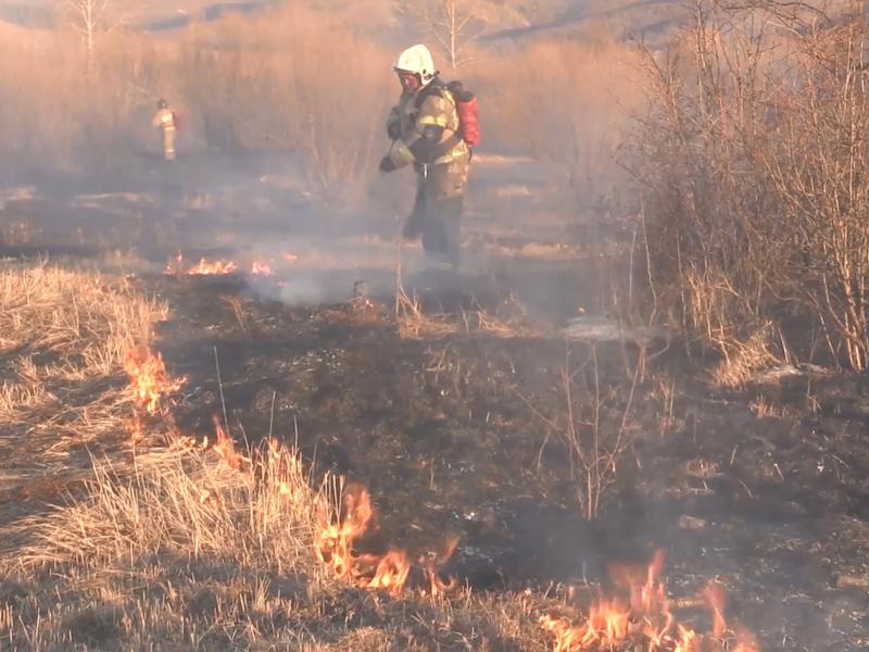 Более 100 палов травы ликвидировали огнеборцы за неделю в Забайкалье