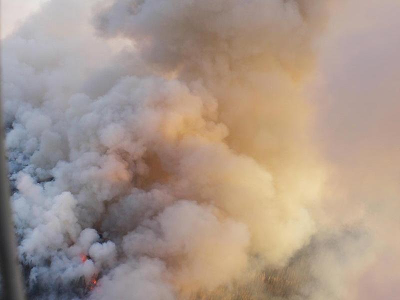 Три лесных пожара потушили в Забайкалье за сутки