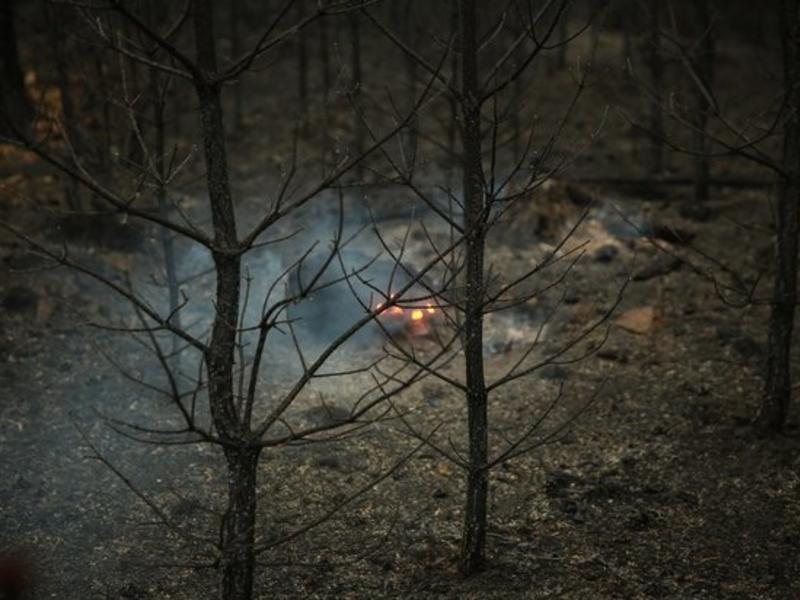 Лесные пожары могут начаться в трех районах края