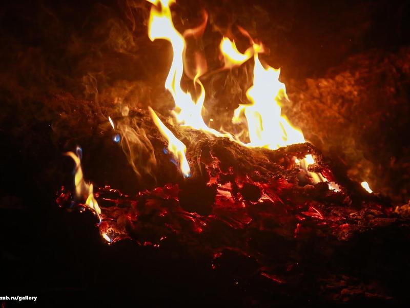 В Забайкалье выявили 3 новых лесных пожара – два локализовали