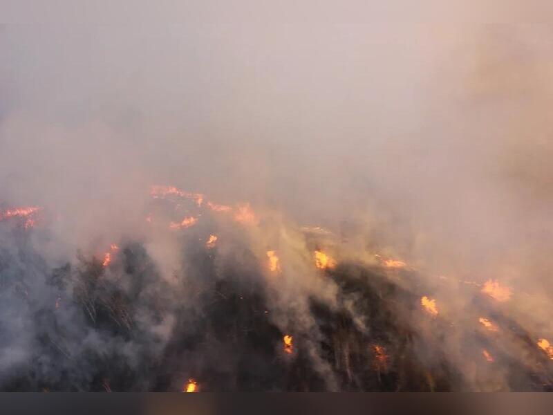 Больше сорока лесных пожаров действуют в крае