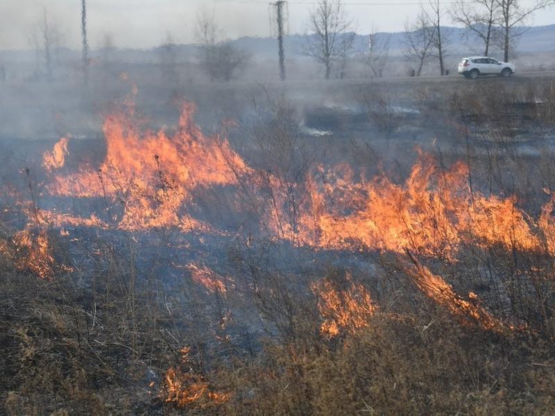 В МЧС назвали район Забайкалья с наихудшей обстановкой по пожарам сухой травы