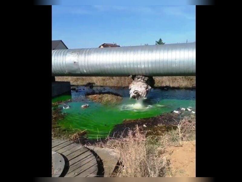 ТГК-14 сбрасывает ядовито-зеленую воду в районе школы № 17