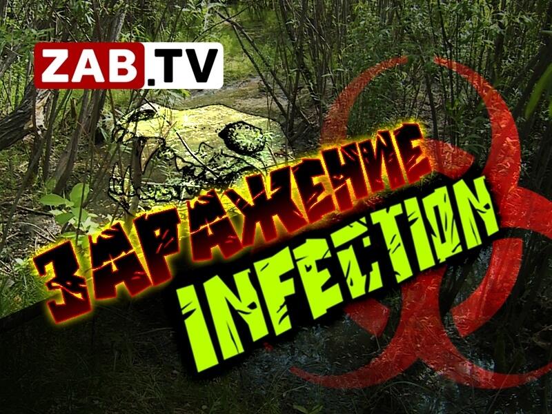 Трупный яд стекает в реку Кайдаловка