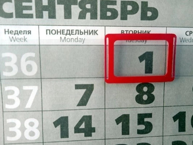 В России отказались отложить начало учебного года