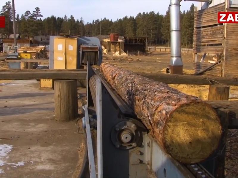 На российском рынке возник дефицит древесины