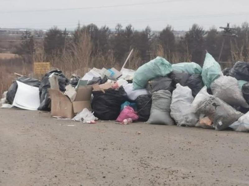 Больше месяца в селе Забайкальского края не вывозят мусор