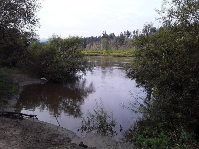 До полуметра вырастет уровень воды за сутки на некоторых реках Забайкалья