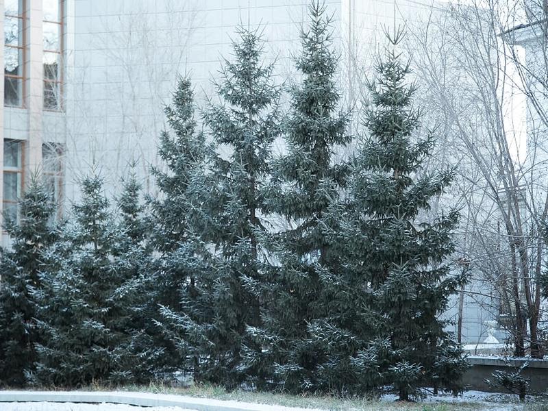 Небольшой снег ожидается в Забайкалье на выходных