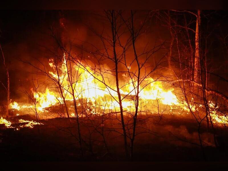 11 лесных пожаров действует в Забайкалье