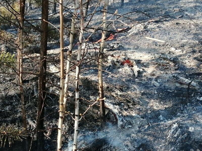 В Забайкалье продолжаются пожары, несмотря на снежный покров