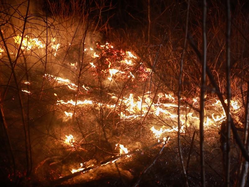 Прокуратура Краснокаменска потребовала создать подразделение для тушения пожаров
