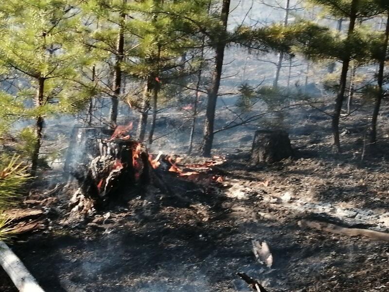Огонь был остановлен в 100 метрах от села в Забайкалье