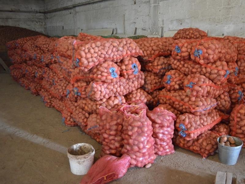 Картофель, яйца и чай стали дороже за неделю в Забайкалье — Минэконом