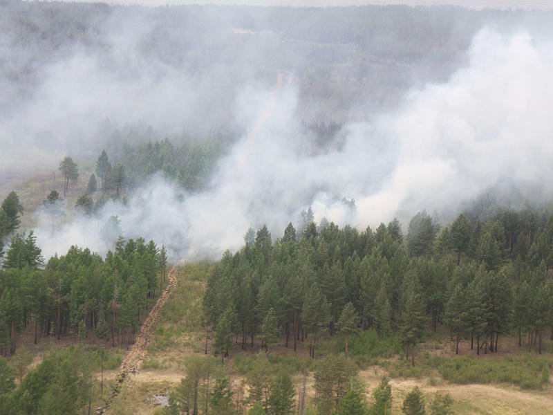 Устроившему трёхдневный лесной пожар забайкальцу грозит тюрьма