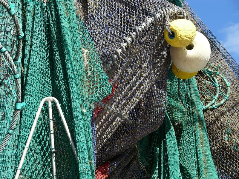 Забайкальские рыбаки просят разрешить пользоваться сетями